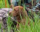 20170604-seaw-0454