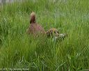 20170604-seaw-0464