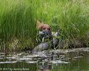 20170604-seaw-0492