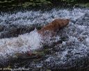 20170604-seaw-0531