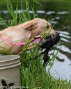 20170604-seaw-0579