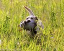20170716-wcl-0009