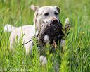 20170716-wcl-0019