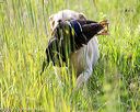 20170716-wcl-0035