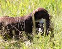 20170716-wcl-0088