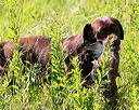 20170716-wcl-0091