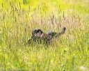 20170716-wcl-0152