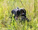 20170716-wcl-0162