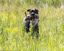 20170716-wcl-0171