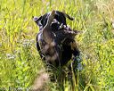 20170716-wcl-0291
