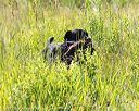 20170716-wcl-0311
