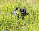 20170716-wcl-0313