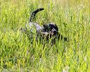 20170716-wcl-0314