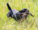 20170716-wcl-0322