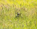 20170716-wcl-0339