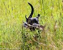 20170716-wcl-0345