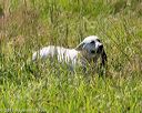 20170716-wcl-0456