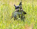 20170716-wcl-0503