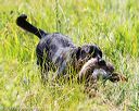 20170716-wcl-0515