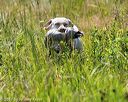 20170716-wcl-0521