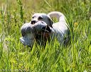 20170716-wcl-0539