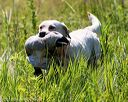 20170716-wcl-0540