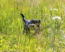 20170716-wcl-0552