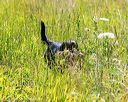 20170716-wcl-0553