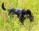 20170716-wcl-0559