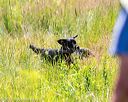 20170716-wcl-0570
