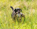 20170716-wcl-0574