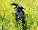 20170716-wcl-0607