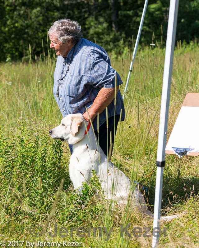 20170716-wcl-0119.jpg
