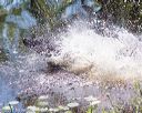 20170716-wcxw-1012