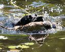 20170716-wcxw-1023