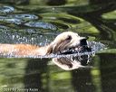 20170716-wcxw-1055