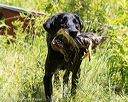 20170716-wcxw-1229