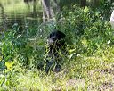 20170716-wcxw-1304