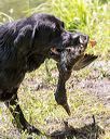 20170716-wcxw-1353