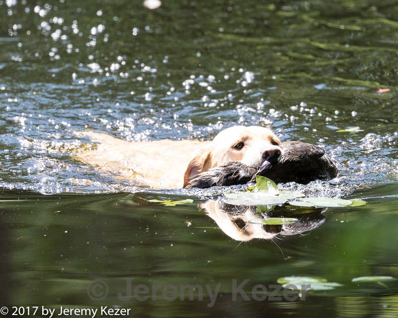 20170716-wcxw-1113.jpg