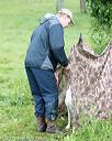 20170805-mh1-2056
