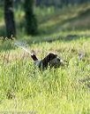 20170805-mh2-0205
