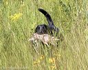20170806-jhl-0938