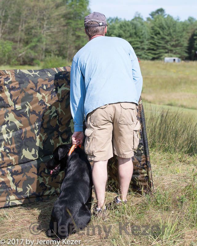 20170806-jhl-0154.jpg