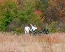 20171007-c-0015