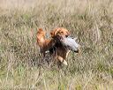 20171007-wcl-0005
