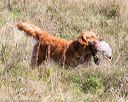 20171007-wcl-0007