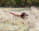 20171007-wcl-0013