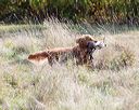 20171007-wcl-0017