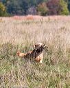 20171007-wcl-0030